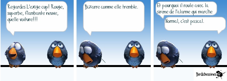 birdsdessines_perso - copie.jpg