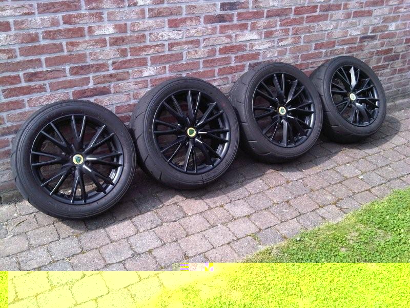 OEM Y Spokes.01a.jpg