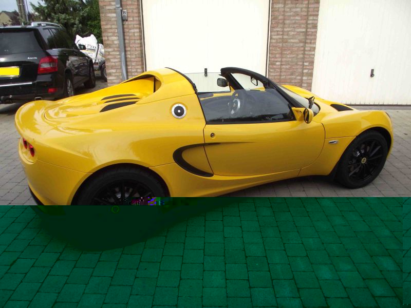 elise jaune 2.jpeg