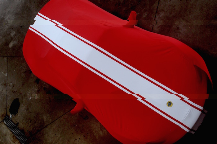 P6231882 - copie.jpg