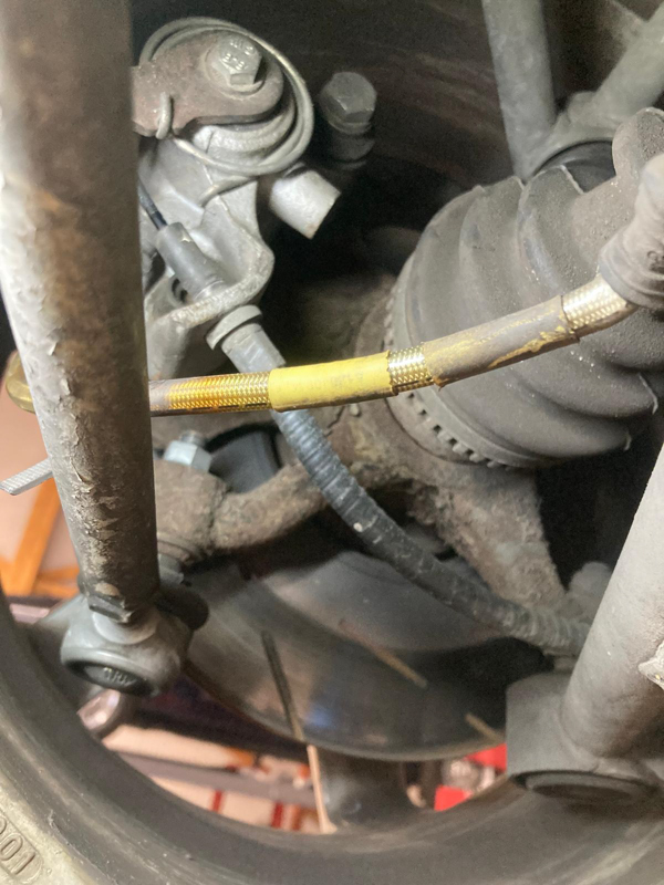 WhatsApp Image 2025-11-15 à 16.39.23_f3ec93a2-3.jpg